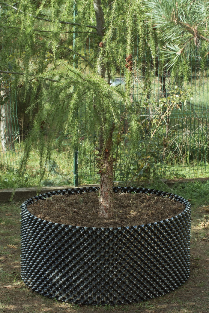 A tree surrounded by the physical Floradrain cylinder